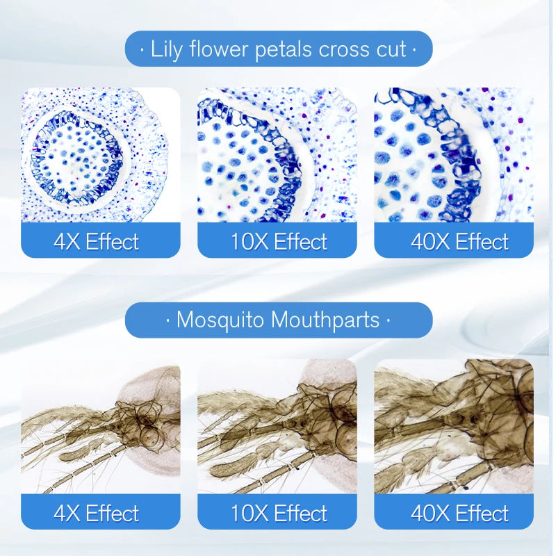 2000X HD Biological Microscope – Coarse Adjustment Monocular Microscope for Student Lab Education + Electronic Eyepiece + LED USB